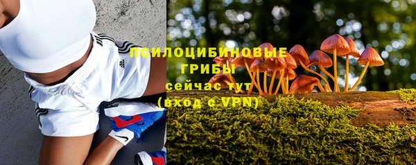 хмурый Алексеевка