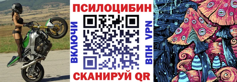 купить закладку  Пучеж  Псилоцибиновые грибы мицелий 